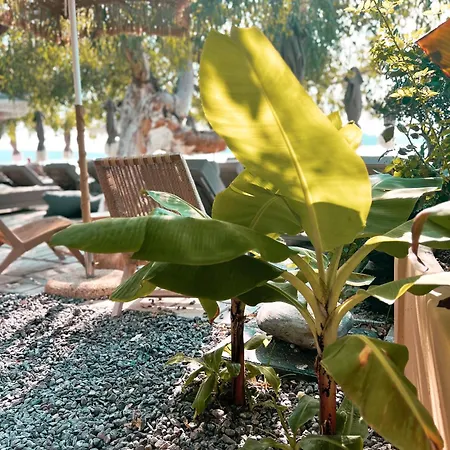 Szálloda Eva Lefkada Nidrí