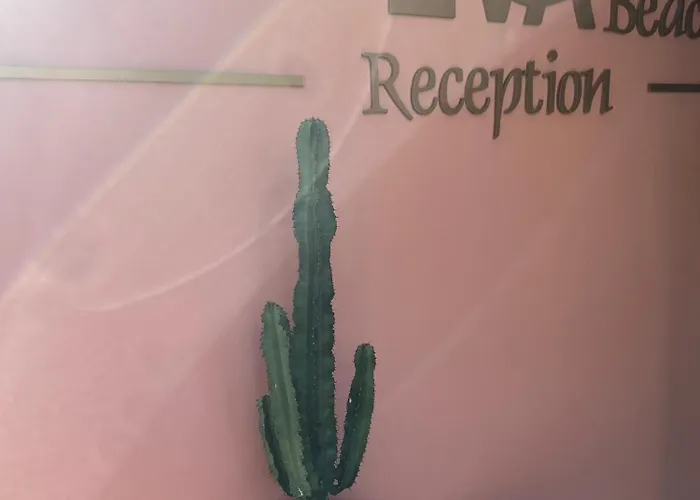 Eva Lefkada Hotel 2*